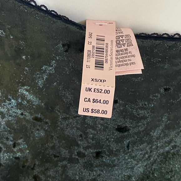 Victoria Secret Velvet Lace Bodysuit - Picture 4 of 6